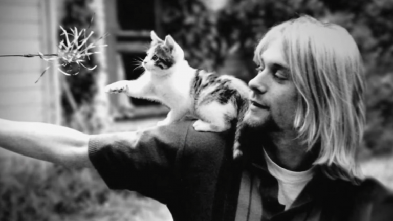 Cobain: montage of a heck