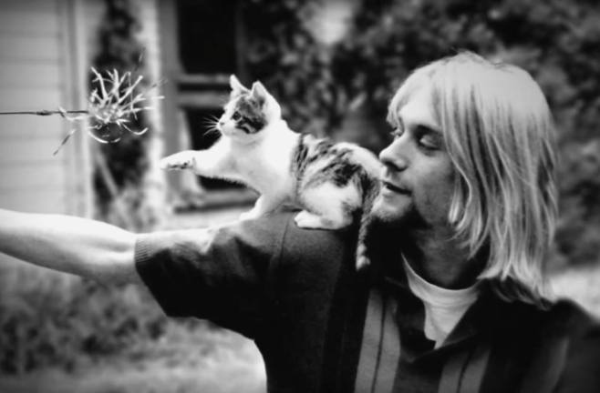 Cobain: montage of a heck