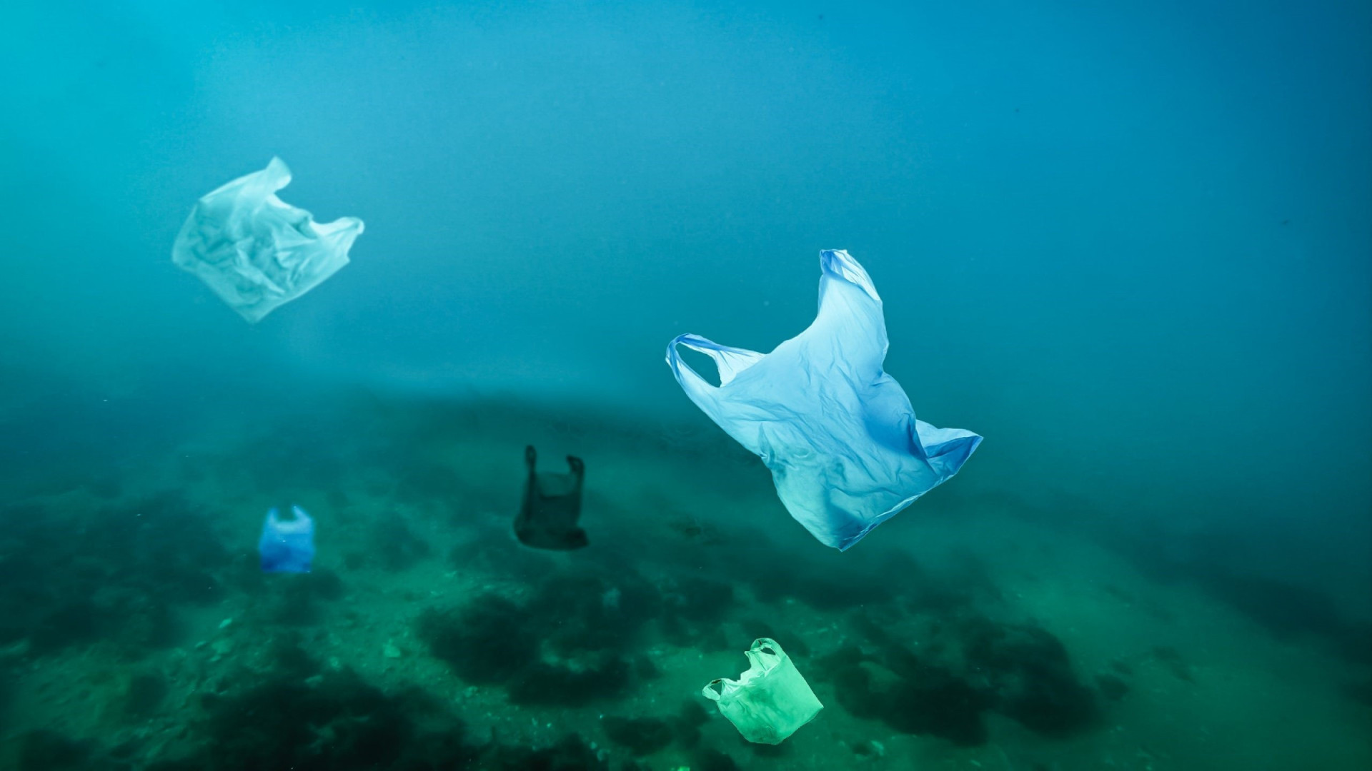 Plastic zakjes in de zee