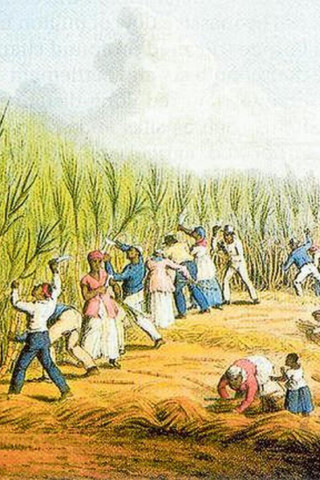 prent waarin tot slaaf gemaakten tot werk worden gedwongen