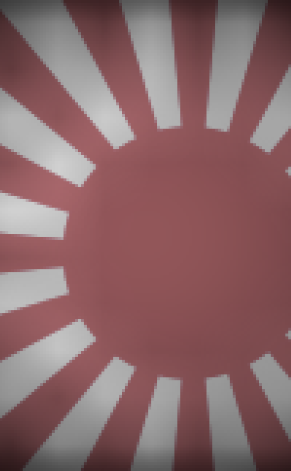 foto vlag van Japan;Bron: https://nl.wikipedia.org/wiki/Vlag_van_Japan#/media/Bestand:Naval_Ensign_of_Japan.svg